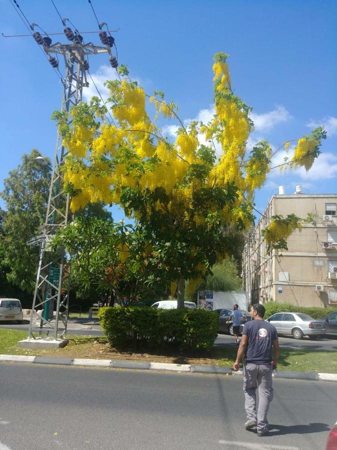 Apartment For Relaxing And For Health Haifa Bagian luar foto